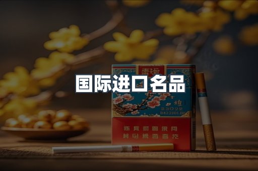 国际进口名品